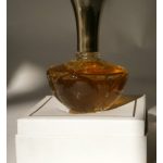 عطر ادکلن مژا ویژ Dzintars - Meža Vējš (Лесной ветер) Dzintars - بررسی، قیمت و خرید