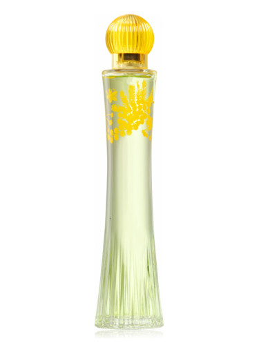 عطر ادکلن مِچتا بروکارد - Mechta Brocard - بررسی، قیمت و خرید