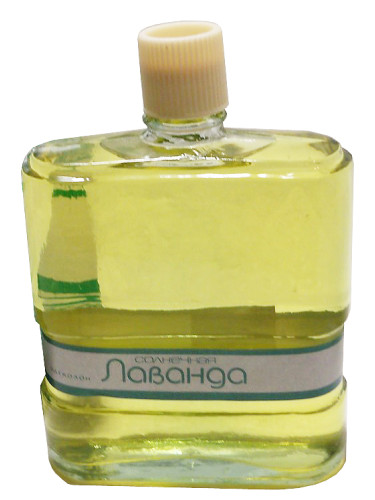 عطر ادکلن سانی لاوندر سِوِرنو سِیانیه - Солнечная лаванда (Sunny Lavender) Северное сияние - بررسی، قیمت و خرید