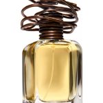 عطر ادکلن آرچتیپو مندیتوروسا - Archetipo Mendittorosa - بررسی، قیمت و خرید