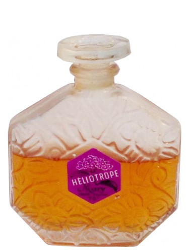 عطر ادکلن هلیوتروپ موری پاریس - Heliotrope Mury Paris - بررسی، قیمت و خرید