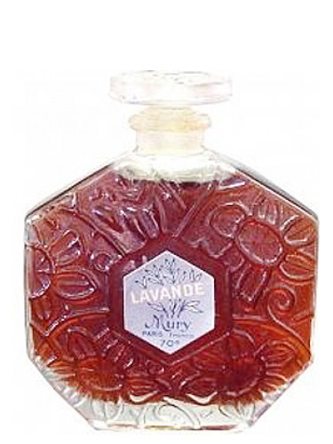 عطر ادکلن لاوند مری پاریس - Lavande Mury Paris - بررسی، قیمت و خرید