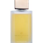 عطر ادکلن مادلین پرفیومری پارتیکولیه - Madeleine Parfumerie Particulière - بررسی، قیمت و خرید