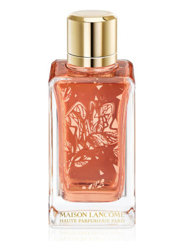 عطر ادکلن پارفه د رُز لانکوم - Parfait de Rôses Lancôme - بررسی، قیمت و خرید