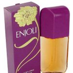 عطر ادکلن انجلی چارلز آو د ریتز - Enjoli Charles of the Ritz - بررسی، قیمت و خرید