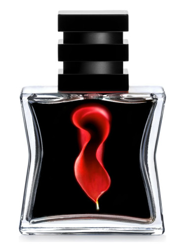 عطر ادکلن نومرو بیست و یک اس جی هفتاد و نُه استکهلم - Nº 21 SG79 STHLM - بررسی، قیمت و خرید