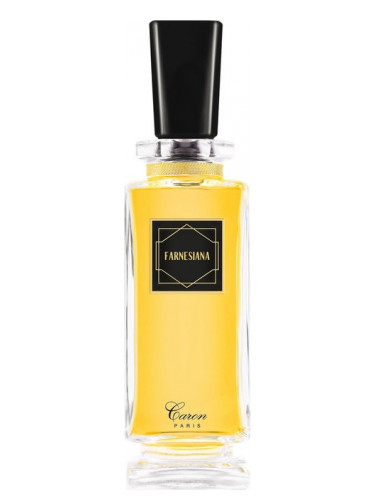 عطر ادکلن فارنسینا کارن - Farnesiana Caron - بررسی، قیمت و خرید