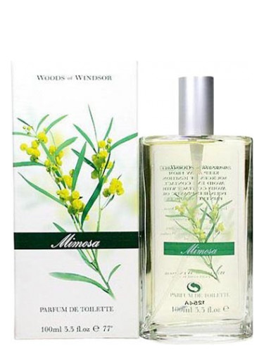 عطر ادکلن میموسا وودز آو ویندسور - Mimosa Woods of Windsor - بررسی، قیمت و خرید