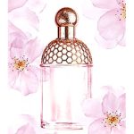 عطر ادکلن آکوا الگوریا چری بلوسوم گرلن - Aqua Allegoria Cherry Blossom Guerlain - بررسی، قیمت و خرید