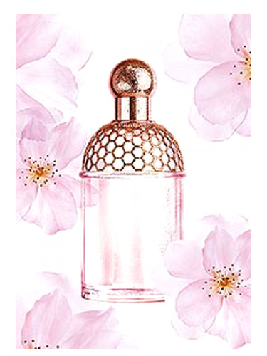 عطر ادکلن آکوا الگوریا چری بلوسوم گرلن - Aqua Allegoria Cherry Blossom Guerlain - بررسی، قیمت و خرید