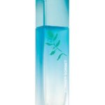 عطر ادکلن وری ایرزیستیبل فرش اتیتیود سامر سوربت ژیوانشی - Very Irresistible Fresh Attitude Summer Sorbet Givenchy - بررسی، قیمت و خرید