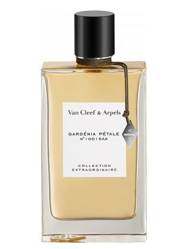 عطر ادکلن گاردنیا پتاله ون کلیف اند آرپلز - Gardenia Petale Van Cleef & Arpels - بررسی، قیمت و خرید
