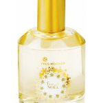 عطر ادکلن فلور دو نوئل لیمیتد ادیشن ایوروشه - Fleur de Noel Limited Edition Yves Rocher - بررسی، قیمت و خرید