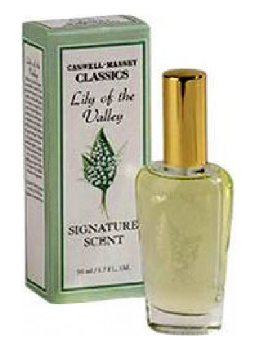 عطر ادکلن لیلی آف د ولی سیگنیچر سنت کاسول مسی - Lily of the Valley Signature Scent Caswell Massey - بررسی، قیمت و خرید