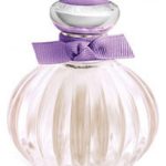 عطر ادکلن بلاود پرپل بلاسم امریکن بیوتی - Beloved Purple Blossom American Beauty - بررسی، قیمت و خرید