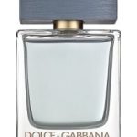 عطر ادکلن ذ وان جنتلمن دولچه گابانا - The One Gentleman Dolce&Gabbana - بررسی، قیمت و خرید
