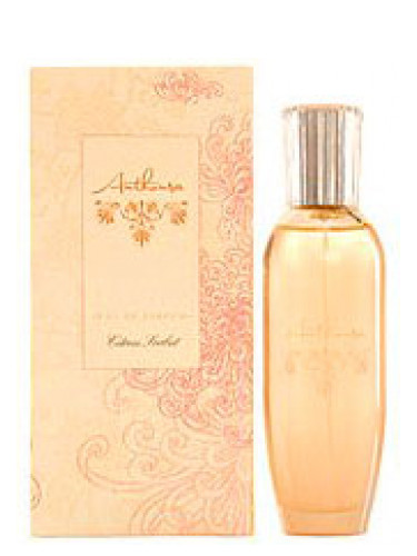 عطر ادکلن سیترس سوربت آنتوسا - Citrus Sorbet Anthousa - بررسی، قیمت و خرید