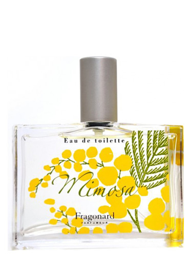 عطر ادکلن میموسا فراگنارد - Mimosa Fragonard - بررسی، قیمت و خرید