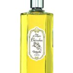 عطر ادکلن چرابین دی تایل - Cherubin Detaille - بررسی، قیمت و خرید