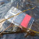 عطر ادکلن این رید آرماند باسی - In Red Armand Basi - بررسی، قیمت و خرید