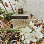 عطر ادکلن کلوئه او دو پرفیوم اینتنس کلوئه - Chloé Eau de Parfum Intense Chloé - بررسی، قیمت و خرید