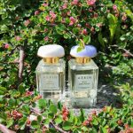 عطر ادکلن ایکَت جَسمین آرین - Ikat Jasmine Aerin - بررسی، قیمت و خرید