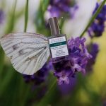 عطر ادکلن گاردنیا دی‌متر فراگرنس - Gardenia Demeter Fragrance - بررسی، قیمت و خرید