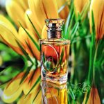 عطر ادکلن دیوریشیمو دیور - Diorissimo Dior - بررسی، قیمت و خرید