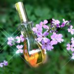 عطر ادکلن جورجیو جورجیو بورلی هیلز - Giorgio Giorgio Beverly Hills - بررسی، قیمت و خرید