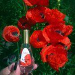 عطر ادکلن کراسنئ ماک دیلیس پرفیوم - Krasny Mak Dilís Parfum - بررسی، قیمت و خرید