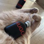 عطر ادکلن هیوگو جاست دیفرنت هوگو باس - Hugo Just Different Hugo Boss - بررسی، قیمت و خرید