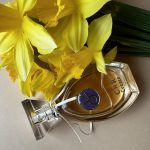 عطر ادکلن تاروس سی‌ان‌آر کریت - Taurus CnR Create - بررسی، قیمت و خرید