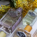 عطر ادکلن اینفیوژن دو ایه‌یه پِرادا - Infusion d'Oeillet Prada - بررسی، قیمت و خرید