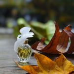 عطر ادکلن لدوتم نینا ریچی - L'Air du Temps Nina Ricci - بررسی، قیمت و خرید