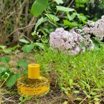 عطر ادکلن ا لایلاک ا دی ویلهلم پرفیومری - A Lilac a Day Vilhelm Parfumerie - بررسی، قیمت و خرید