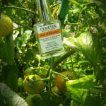 عطر ادکلن بِرد آو پارادایز دِمتر فرگِرَنس - Bird of Paradise Demeter Fragrance - بررسی، قیمت و خرید