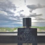 عطر ادکلن روبرتو کاوالی اومو رابرتو کاوالی - Roberto Cavalli Uomo Roberto Cavalli - بررسی، قیمت و خرید