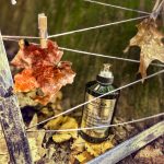 عطر ادکلن سول آو د فورست مِیزون مارتین مارژیلا - Soul Of The Forest Maison Martin Margiela - بررسی، قیمت و خرید