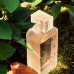 عطر ادکلن ای سنت بای ایسی میاکی او دو پرفیوم فلورال ایسه میاکه - A Scent by Issey Miyake Eau de Parfum Florale Issey Miyake - بررسی، قیمت و خرید