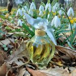 عطر ادکلن لدوتم نینا ریچی - L'Air du Temps Nina Ricci - بررسی، قیمت و خرید