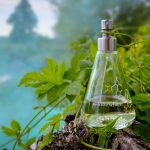 عطر ادکلن شی‌سا نومِنکلیچر - Shi-sõ Nomenclature - بررسی، قیمت و خرید