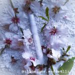 عطر ادکلن ادرت نومن‌کلیچر - Adr-ett Nomenclature - بررسی، قیمت و خرید