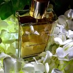 عطر ادکلن تیوبرزا نرا آنجلو کارولی - Tuberosa Nera Angelo Caroli - بررسی، قیمت و خرید