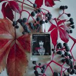 عطر ادکلن اِلوایرا اِز وَمپ دمتر فراگرنس - Elvira's Vamp Demeter Fragrance - بررسی، قیمت و خرید