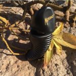 عطر ادکلن مورینا نوآر پرفیومز مورنا - Morena Noir Parfums Morena - بررسی، قیمت و خرید