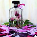 عطر ادکلن شیر استلا دو هزار و یازده استلا مک‌کارتنی - Sheer Stella 2011 Stella McCartney - بررسی، قیمت و خرید