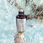 عطر ادکلن سول آو د فورست مِیزون مارتین مارژیلا - Soul Of The Forest Maison Martin Margiela - بررسی، قیمت و خرید