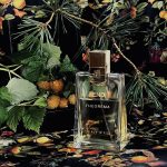 عطر ادکلن تیورما اسپریت دته فندی - Theorema Esprit d'Ete Fendi - بررسی، قیمت و خرید