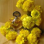 عطر ادکلن شالیمار پرفیوم گرلن - Shalimar Parfum Guerlain - بررسی، قیمت و خرید