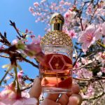 عطر ادکلن آکوا الگوریا چری بلوسوم گرلن - Aqua Allegoria Cherry Blossom Guerlain - بررسی، قیمت و خرید